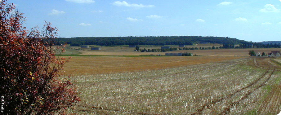 agricole02.jpg