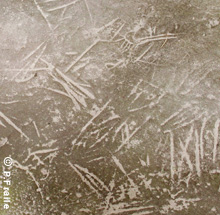 pétroglyphe